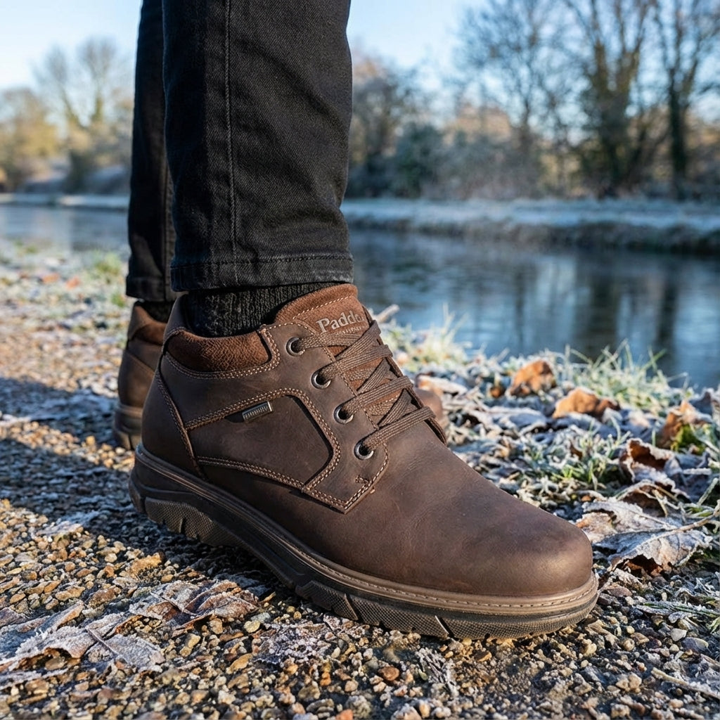 rockport harlee chukka